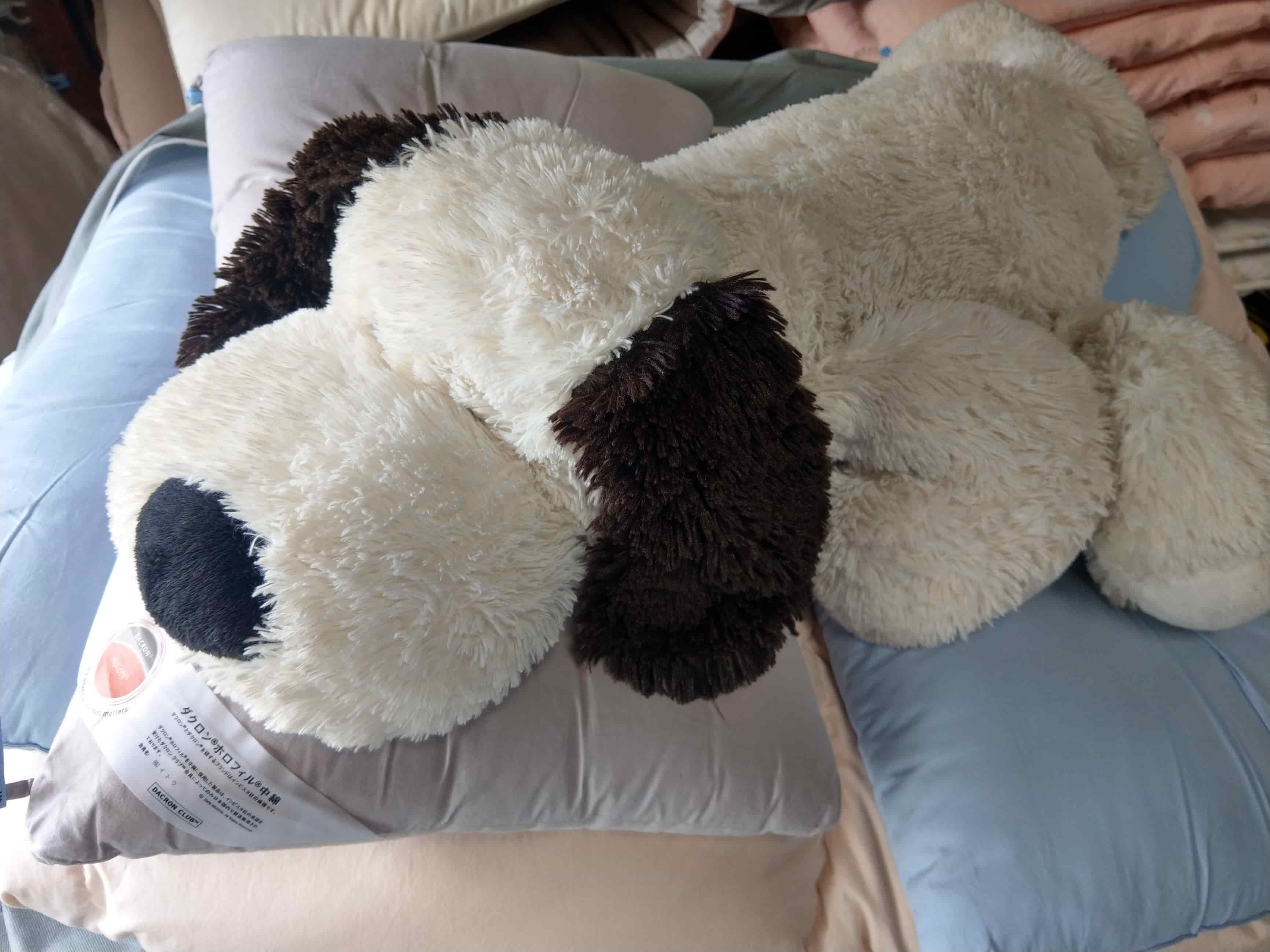 お客様のぬいぐるみ