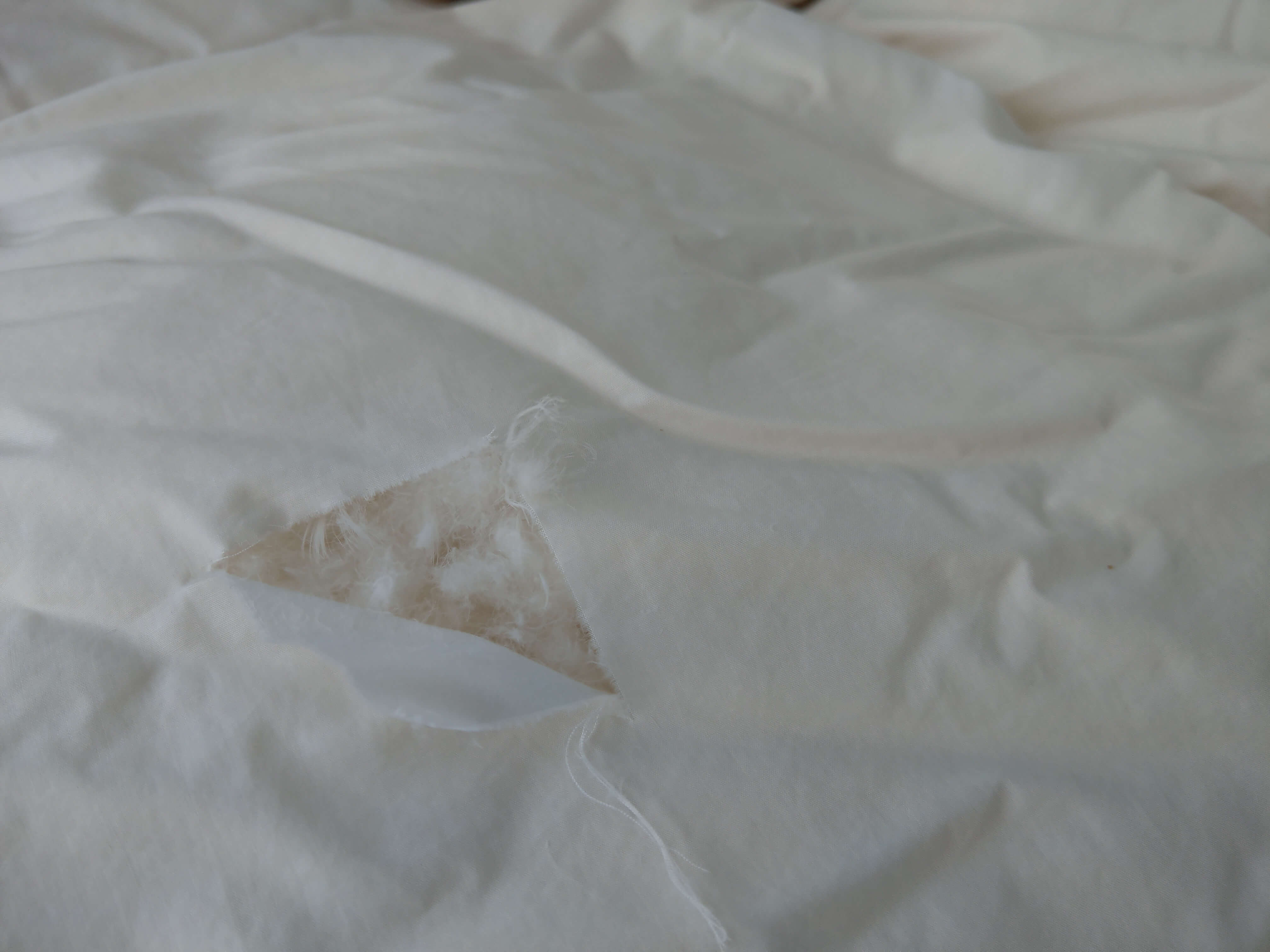 破れた羽毛布団